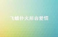 飞蛾扑火形容爱情(精选61句) 飞蛾扑火形容爱情(精选61句)