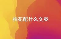 拍花配什么文案【100句精选短句合集】