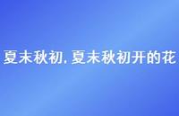 夏末秋初开的花【精品文案100句】