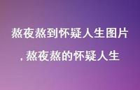 熬夜熬的怀疑人生(100句) 熬夜熬的怀疑人生(100句)