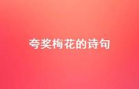 夸奖梅花的诗句(精选51句) 夸奖梅花的诗句(精选51句)