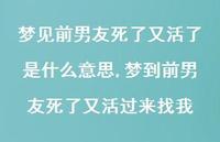 梦到前男友死了又活过来找我【精选100句】 梦到前男友死了又活过来找我【精选100句】