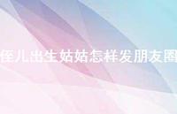 侄儿出生姑姑怎样发朋友圈【100句精选短句合集】