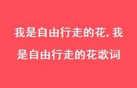 我是自由行走的花歌词【100句文案精选】 我是自由行走的花歌词【100句文案精选】