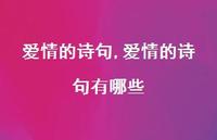 爱情的诗句有哪些【精品文案100句】 爱情的诗句有哪些【精品文案100句】