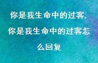 你是我生命中的过客怎么回复【精选100句】 你是我生命中的过客怎么回复【精选100句】