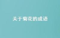 关于菊花的成语(精选42句) 关于菊花的成语(精选42句)