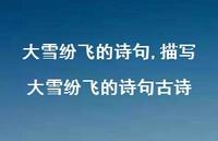 描写大雪纷飞的诗句古诗【精品文案100句】