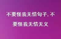 不要怪我无情无义(100句) 不要怪我无情无义(100句)