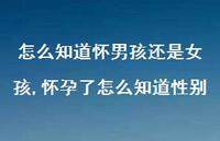 怀孕了怎么知道性别(100句)