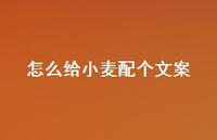 怎么给小麦配个文案【100句精选短句合集】 怎么给小麦配个文案【100句精选短句合集】