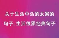 生活很累经典句子【100句文案】 生活很累经典句子【100句文案】