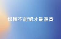 想留不能留才最寂寞39句汇总 想留不能留才最寂寞39句汇总
