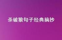 杀破狼句子经典摘抄47句汇总
