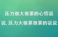 压力大很累很累的说说(100句)