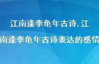 江南逢李龟年古诗表达的感情【100句文案精选】