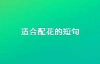 适合配花的短句58句汇总