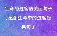 感谢生命中的过客经典句子【精选100句】