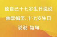 十七岁生日说说 短句(100句)