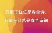 万紫千红总是春全诗词【精品文案100句】