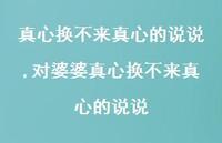 对婆婆真心换不来真心的说说(100句) 对婆婆真心换不来真心的说说(100句)
