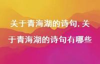 关于青海湖的诗句有哪些(100句) 关于青海湖的诗句有哪些(100句)