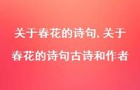 关于春花的诗句古诗和作者【精品文案100句】