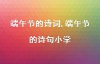 端午节的诗句小学【精品文案100句】