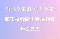 佳节又重阳玉枕纱厨半夜凉初透什么意思【精品文案100句】