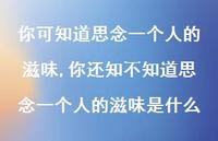 你还知不知道思念一个人的滋味是什么(100句)
