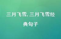 三月飞雪经典句子【精品文案96句】 三月飞雪经典句子【精品文案96句】