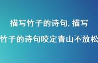 描写竹子的诗句咬定青山不放松【精品文案100句】