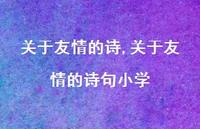 关于友情的诗句小学【精品文案100句】 关于友情的诗句小学【精品文案100句】