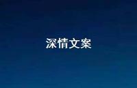 深情文案【100句精选短句合集】