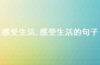 感受生活的句子【100句文案精选】