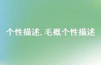 毛概个性描述【精品文案100句】 毛概个性描述【精品文案100句】