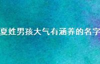 夏姓男孩大气有涵养的名字(精选55句) 夏姓男孩大气有涵养的名字(精选55句)
