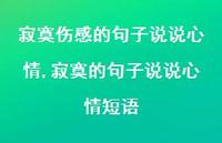 寂寞的句子说说心情短语【精选100句】 寂寞的句子说说心情短语【精选100句】