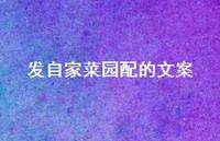 发自家菜园配的文案【100句精选短句合集】