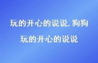 狗狗玩的开心的说说【精选100句】