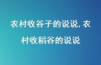 农村收稻谷的说说(99句) 农村收稻谷的说说(99句)