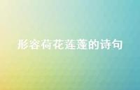 形容荷花莲蓬的诗句(精选72句)