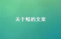 关于鲸的文案40句汇总 关于鲸的文案40句汇总
