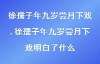 徐孺子年九岁尝月下戏明白了什么【精品文案100句】