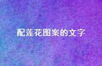 配莲花图案的文字63句汇总 配莲花图案的文字63句汇总