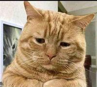 生活的认知：你知道吗？嘴角努力上扬真的会改变你糟糕的心情