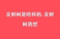 发财树造型(100句) 发财树造型(100句)