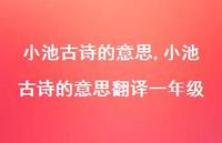 小池古诗的意思翻译一年级【精品文案100句】 小池古诗的意思翻译一年级【精品文案100句】