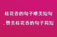 赞美桂花香的句子简短【精品文案100句】
