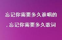 忘记你需要多久歌词(100句) 忘记你需要多久歌词(100句)